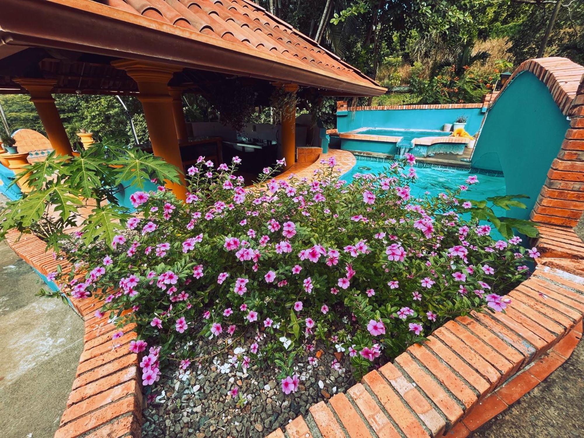 Siwo Art Guesthouse Playa Ocotal エクステリア 写真