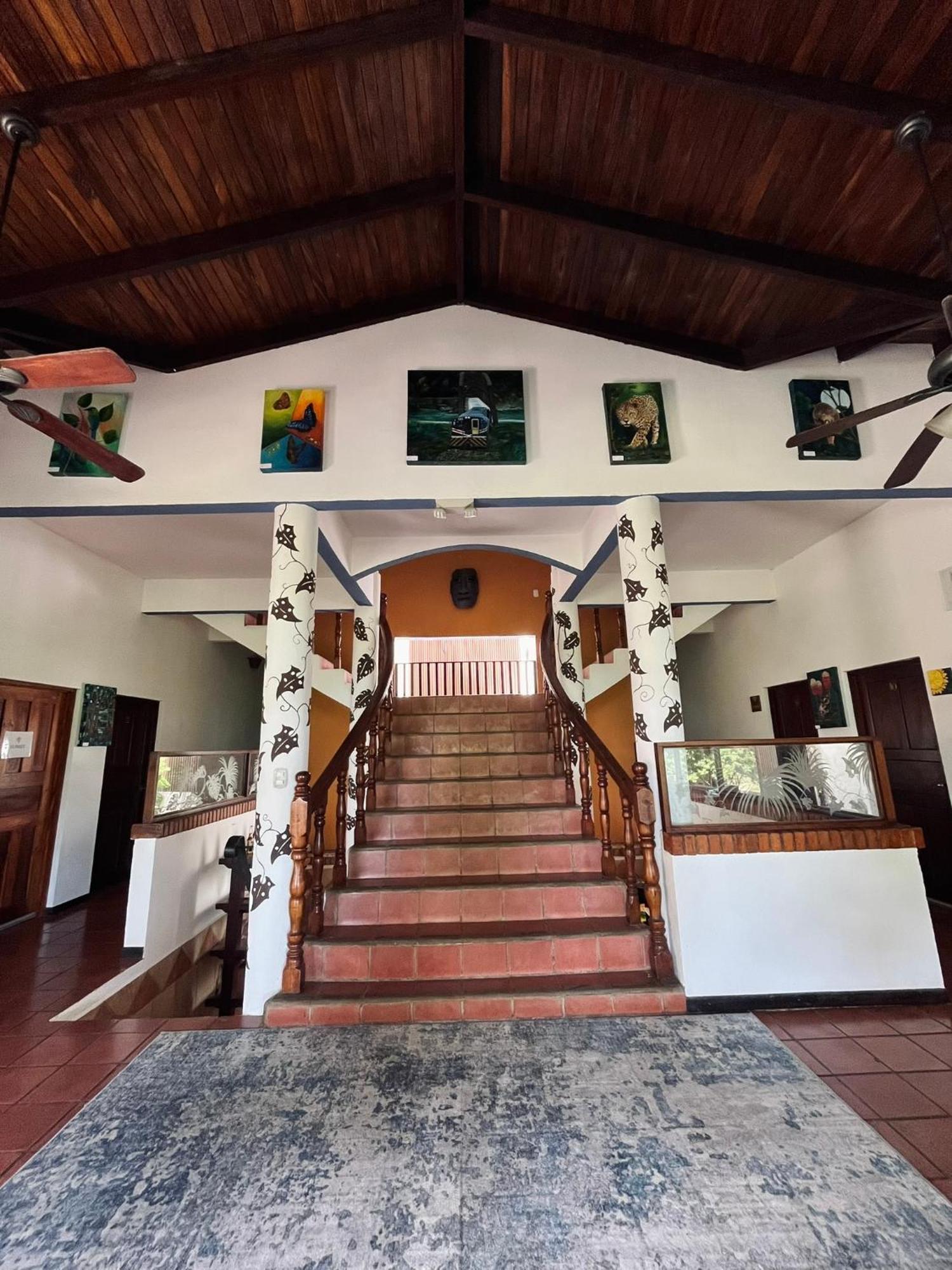 Siwo Art Guesthouse Playa Ocotal エクステリア 写真